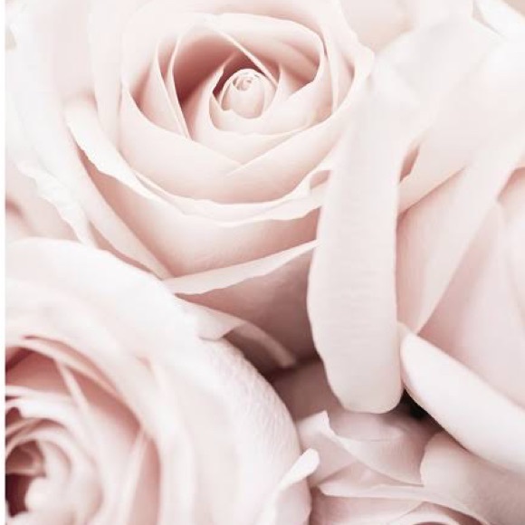 Meet your Posher - Picture 1 of 1